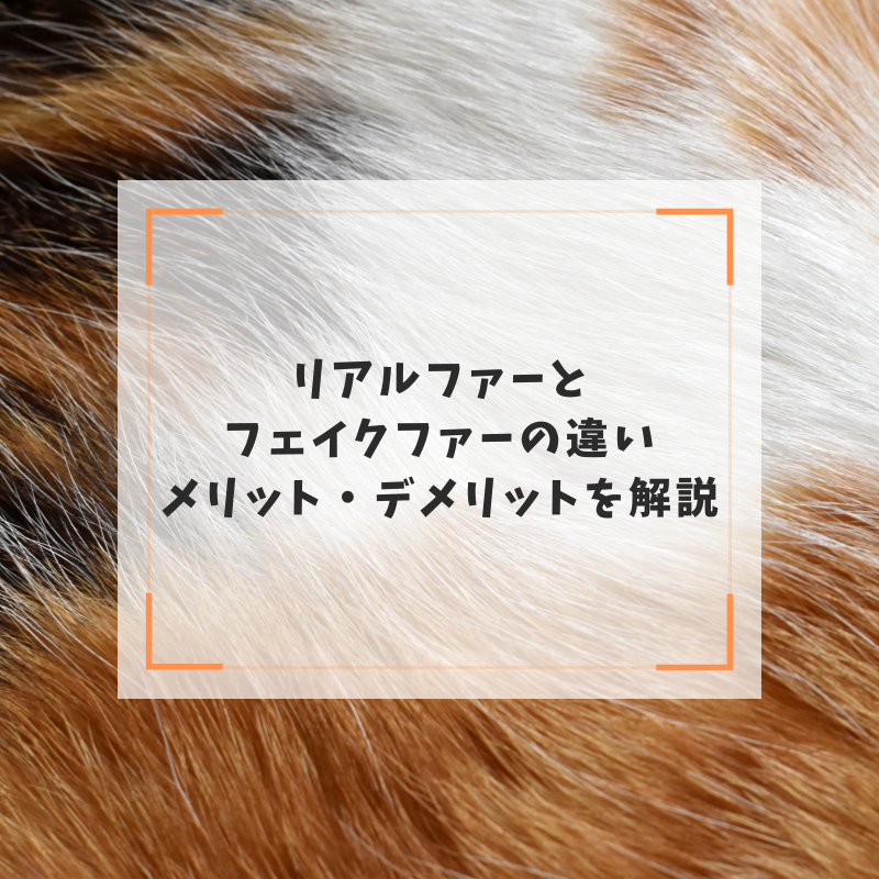 ファーとは|リアルファーとフェイクファーの違い・メリット・デメリットを解説