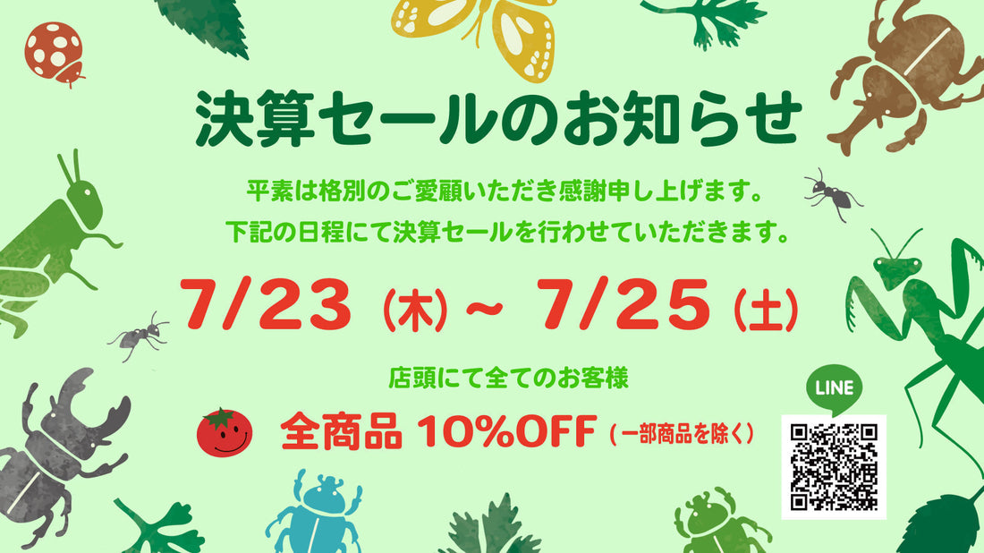 【実店舗】決算セールのお知らせ