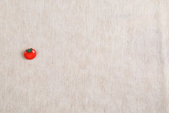 不織布接着芯(薄)[F1-2012]