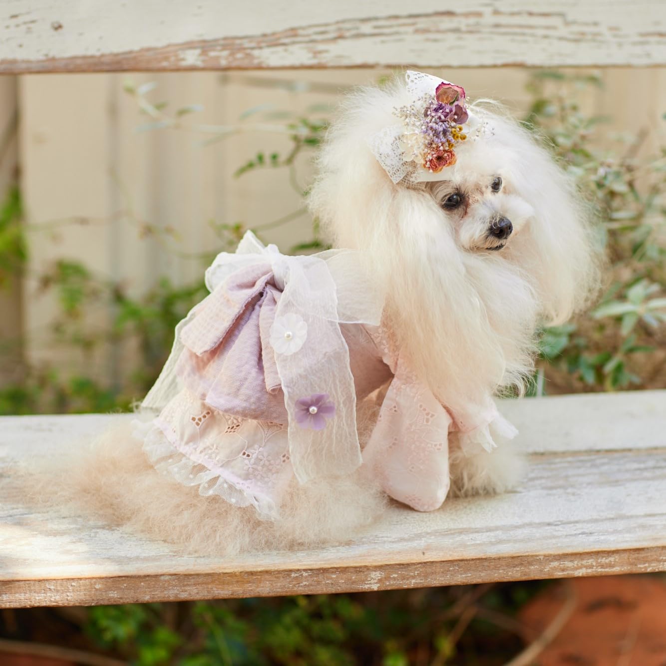 犬服　ふぁみーゆ(o^^o)　ハンドメイド Yuki様☆犬服☆ハンドメイドオーダー