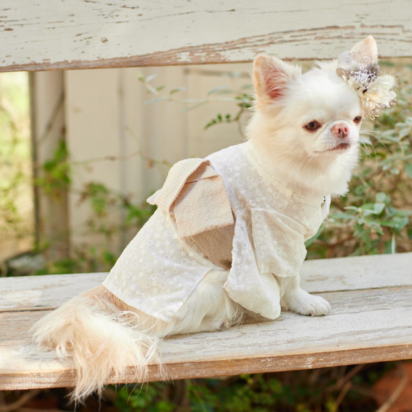 おまとめ専用ページ☆子犬わたあめ13㎝用☆お洋服G＋靴☆お洋服P＋靴 子犬わたあめちゃん ☆ お茶会ワンピース＆ドロワーズセット