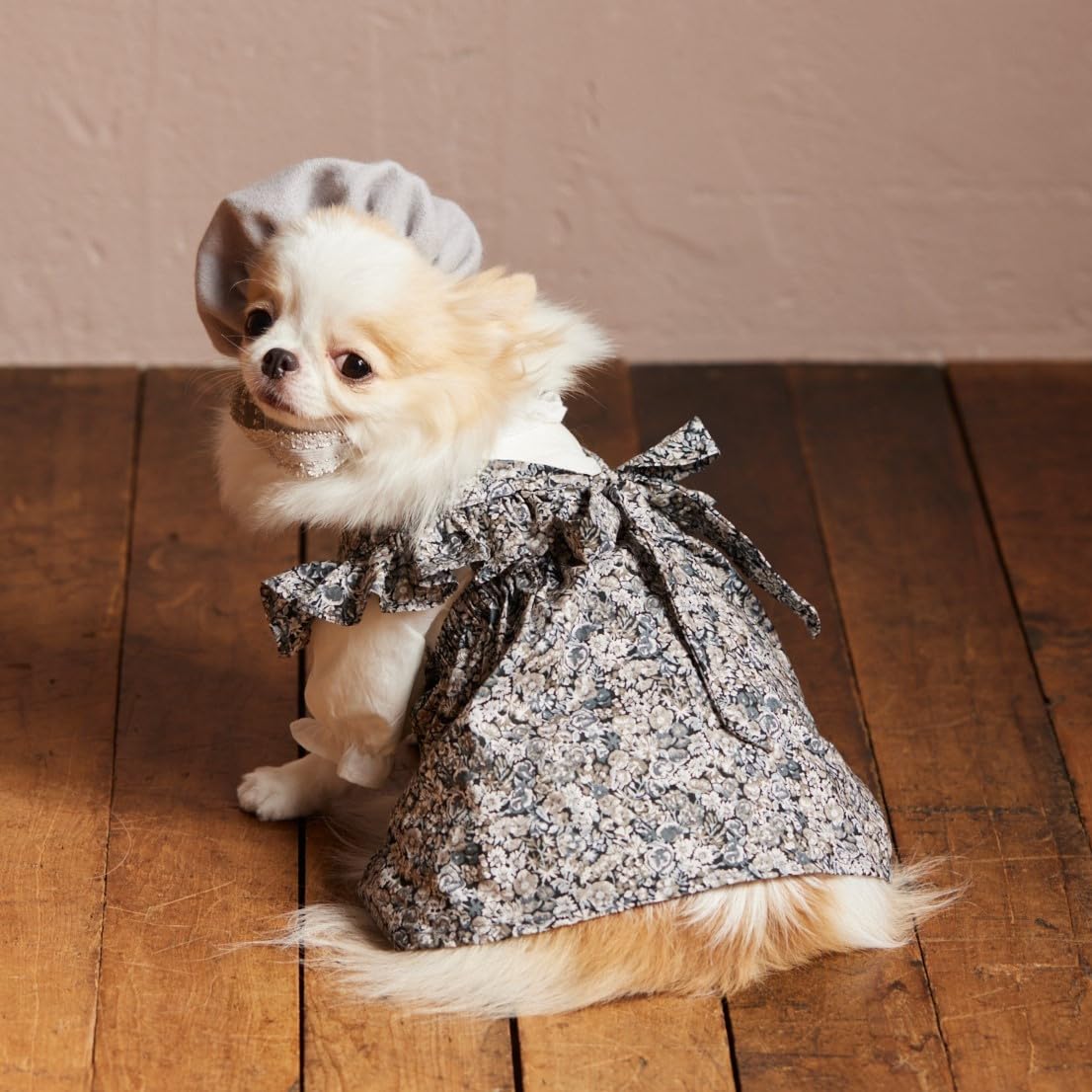 小型犬のための かわいい犬のお洋服[Fe-70756] – トマト