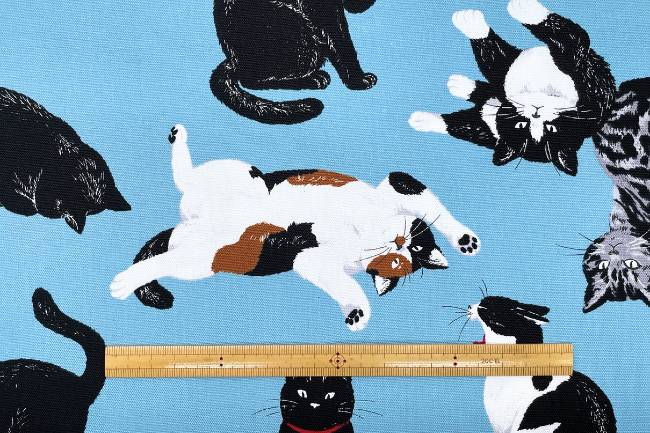 もふもふ 4905114064978.jpg?v=1669774772