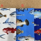 【ネット限定】約50cm×50㎝ ツイルカットクロス「リアル魚」[Fe-kts6562]
