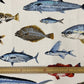 【ネット限定】約50cm×50㎝ ツイルカットクロス「リアル魚」[Fe-kts6562]