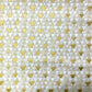 【ネット限定】USAコットン〈GUSTAV KLIMT〉[Fe-030srkm-21352-15]